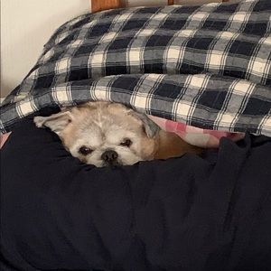 Meet your Posher, Karen